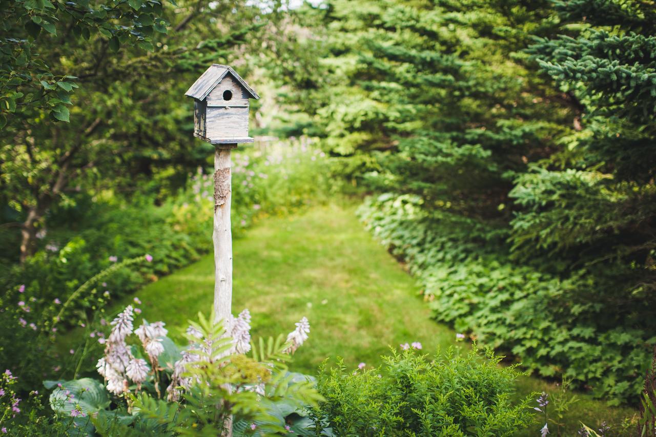 Abbie'S Garden Bed & Breakfast Grand Bank Екстер'єр фото