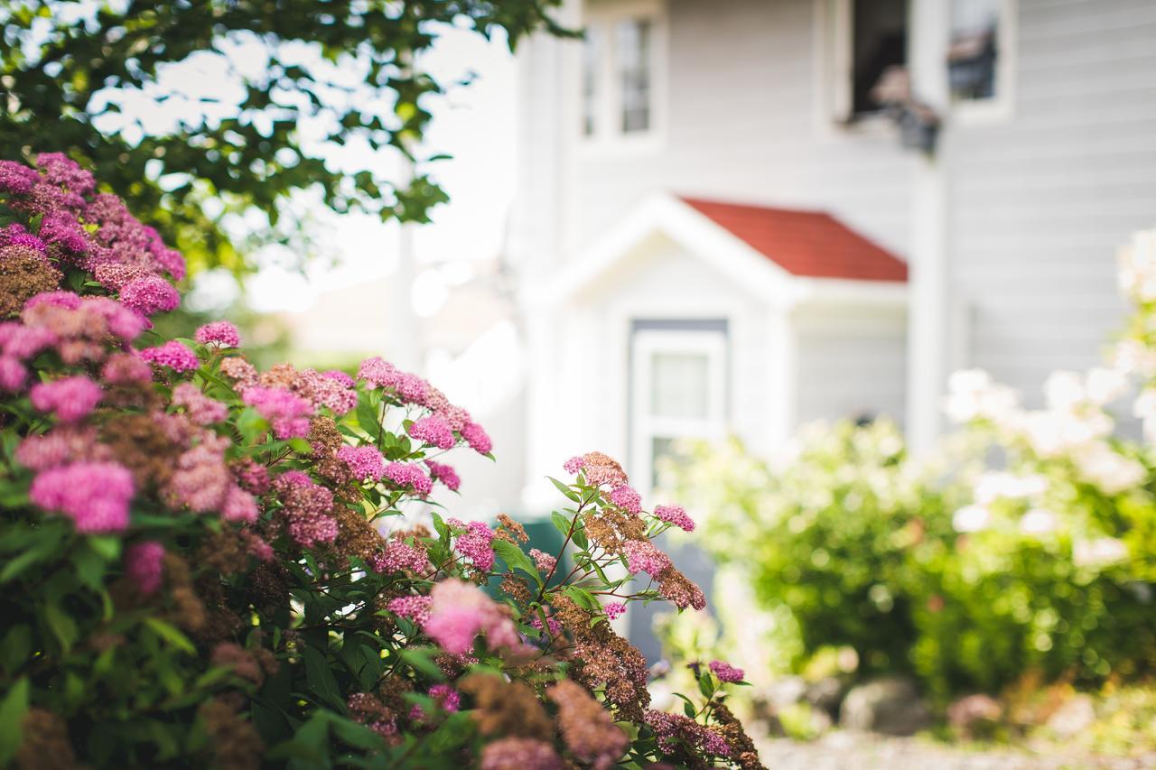 Abbie'S Garden Bed & Breakfast Grand Bank Екстер'єр фото