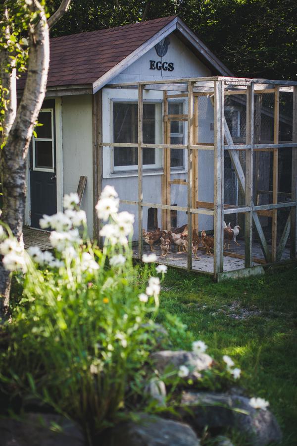 Abbie'S Garden Bed & Breakfast Grand Bank Екстер'єр фото